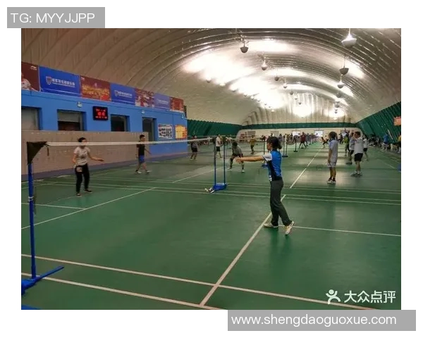 与羽毛球传奇杨军的对话回顾他的辉煌职业生涯与未来展望 与羽毛球传奇杨军的对话回顾他的辉煌职业生涯与未来展望