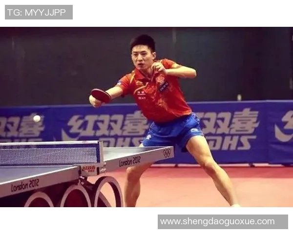 乒乓球技艺探秘：深入解析杭州乒乓球队的防守策略与技巧