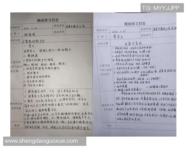 张丽独家分享排球心得与技巧助你提升球技的秘诀与经验总结