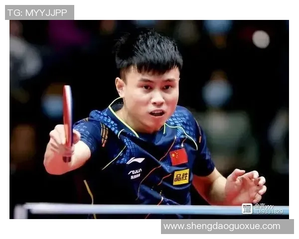 杭州乒乓球队员个人能力深度对比与分析探讨 杭州乒乓球队员个人能力深度对比与分析探讨