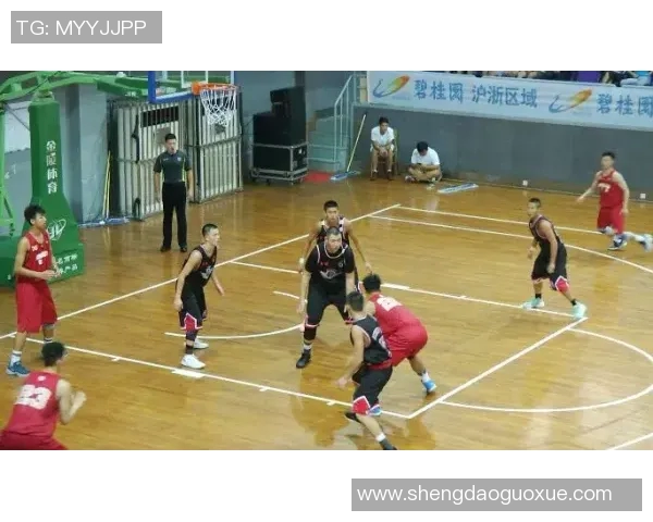 杭州篮球队速度之美：探索快速进攻与团队配合的完美结合