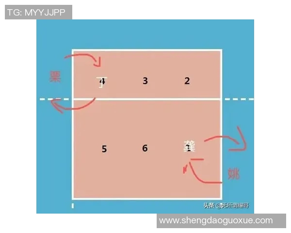 重庆排球队战术解析与对比深度剖析球队优势与不足之处