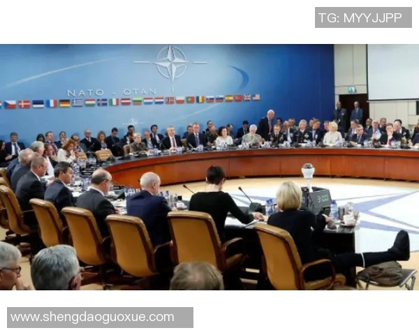 重庆网球队团队协作引发热议网球运动中的合作与争议分析