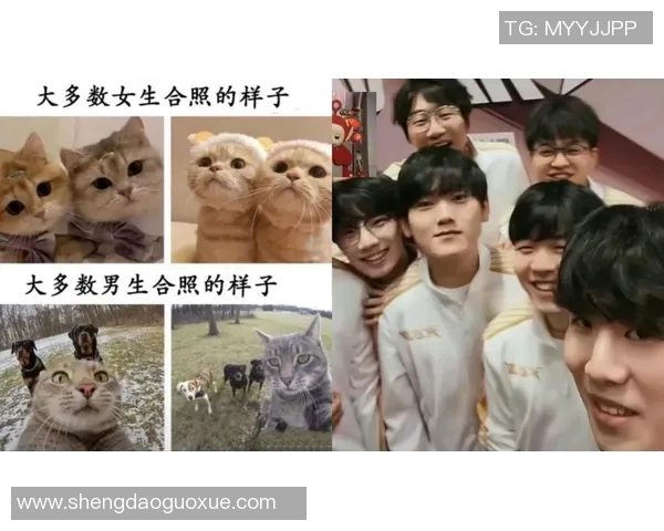 全明星赛分析:IG团队协作展现出色配合与默契 全明星赛分析:IG团队协作展现出色配合与默契