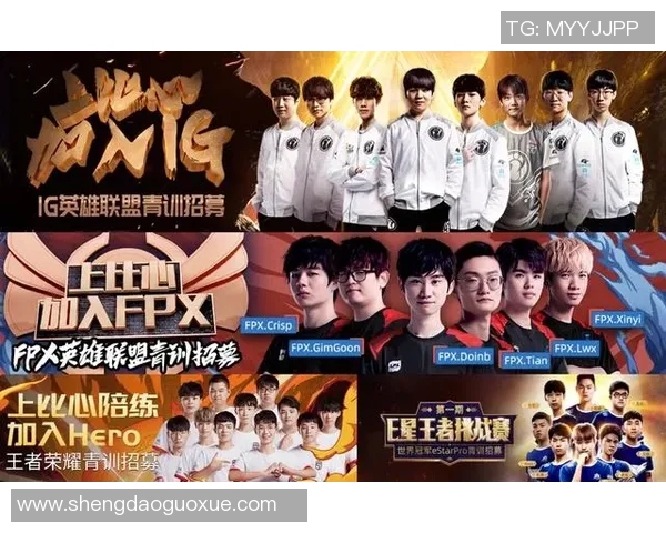 王者荣耀战术解析IG战队防反体系的深度剖析与应用探讨