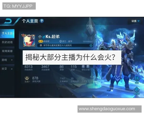 聚焦王者荣耀：IG战队实力分析与未来发展展望