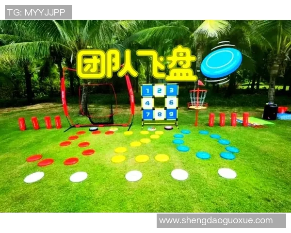 重庆飞盘队与杭州飞盘队比赛分析个人能力的深度复盘与对比