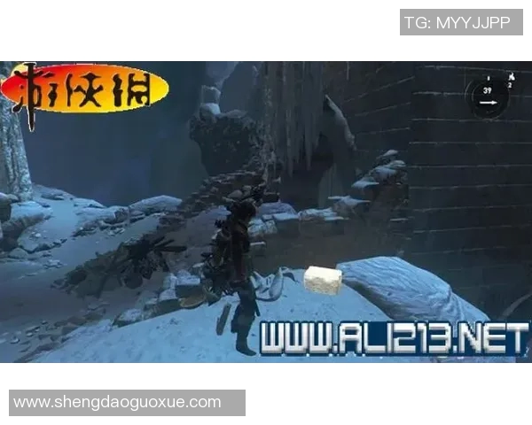 猛龙崛起：探索猛龙文化与生物多样性的深度融合与保护之道