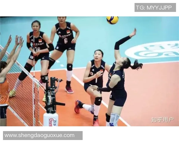上海排球队在世界杯中的耐力表现值得关注与分析 上海排球队在世界杯中的耐力表现值得关注与分析